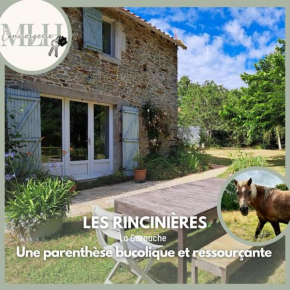 Les Rincinières
